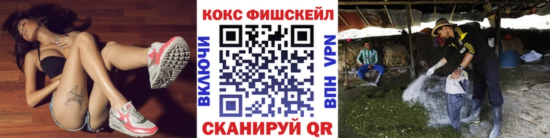 Кокаин FishScale наркотики Горно-Алтайск