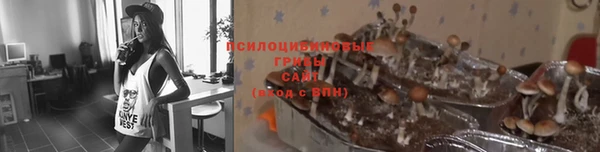 гидропоника Богородск