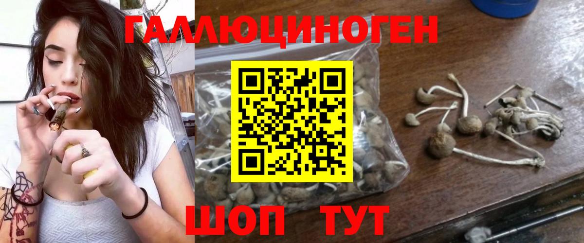 Псилоцибиновые грибы мицелий  Галлюциногенные грибы Psilocybe  Вход с VPN  хочу   Горно-Алтайск 